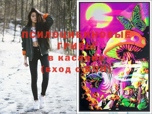 ГАЛЛЮЦИНОГЕННЫЕ ГРИБЫ Алексин