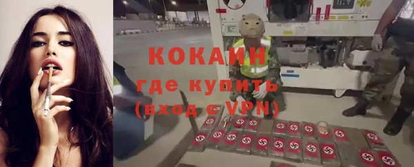 ГАЛЛЮЦИНОГЕННЫЕ ГРИБЫ Алексин
